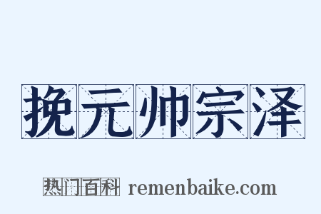 挽元帅宗泽是什么意思的图片